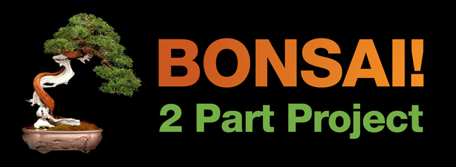 Bonsai Project