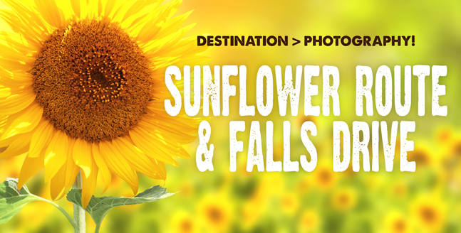 Sunflower Route and Falls Drive