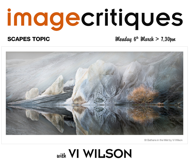 Image Critiques with Vi Wilson